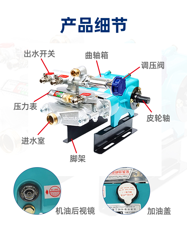 736pt-详情2.jpg