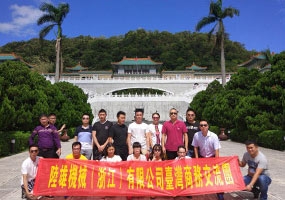 案例详情