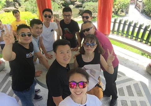 Team style